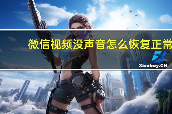 微信视频没声音怎么恢复正常