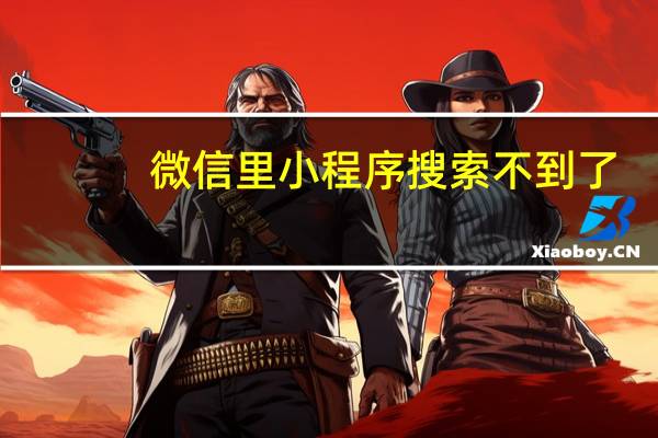 微信里小程序搜索不到了