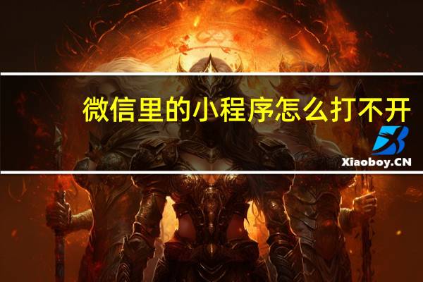 微信里的小程序怎么打不开