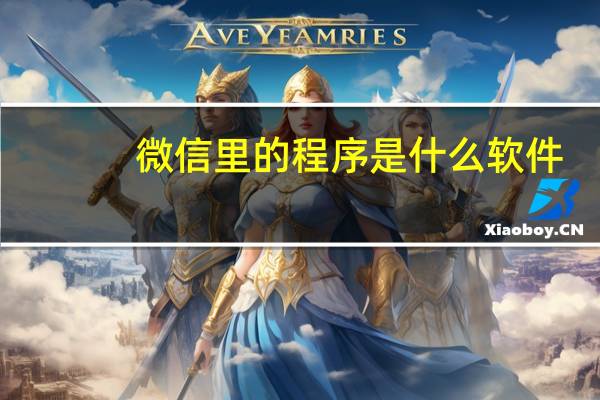 微信里的程序是什么软件