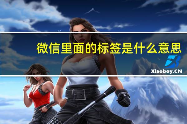 微信里面的标签是什么意思
