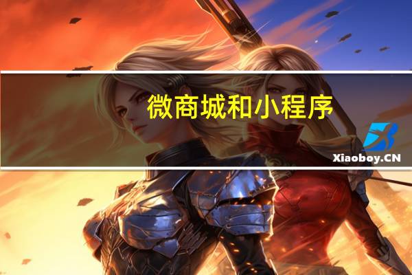 微商城和小程序