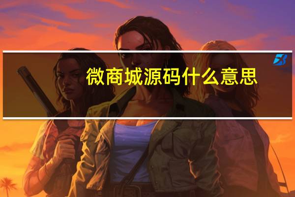 微商城源码什么意思