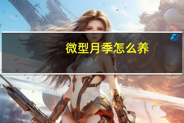 微型月季怎么养