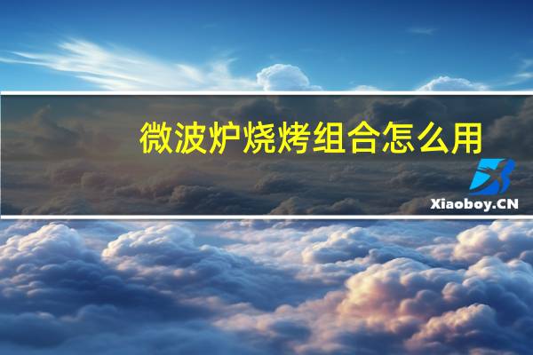 微波炉烧烤组合怎么用