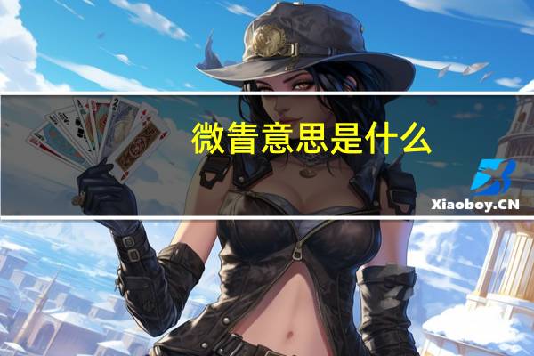 微眚意思是什么