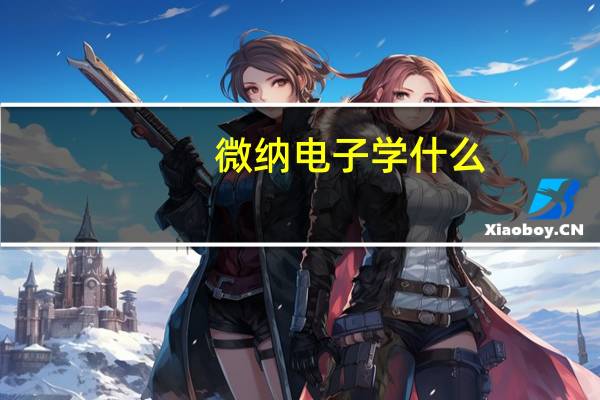 微纳电子学什么