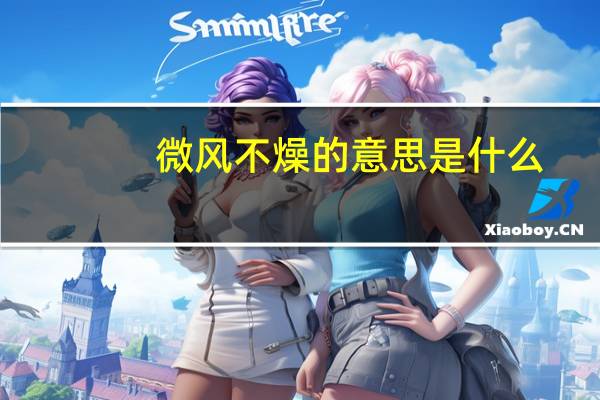 微风不燥的意思是什么