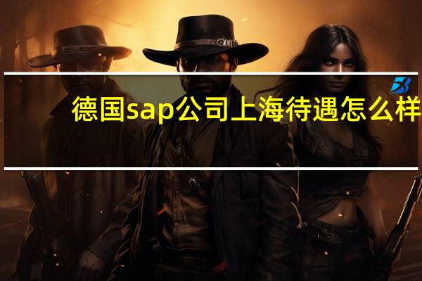 德国sap公司上海待遇怎么样