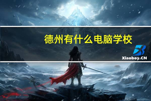 德州有什么电脑学校