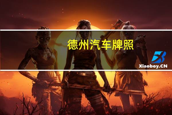 德州汽车牌照