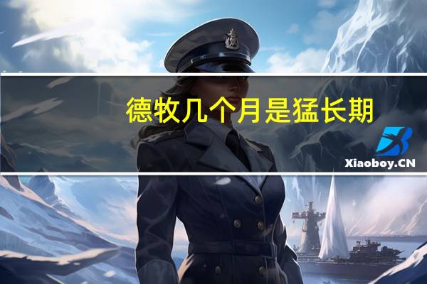 德牧几个月是猛长期