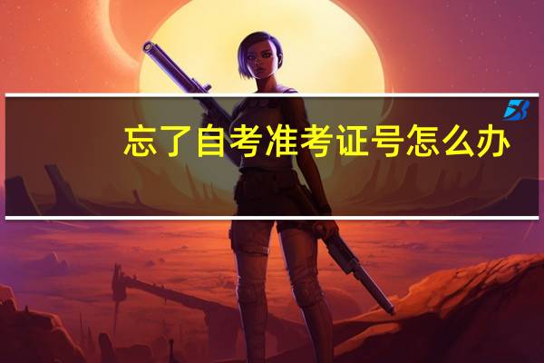 忘了自考准考证号怎么办
