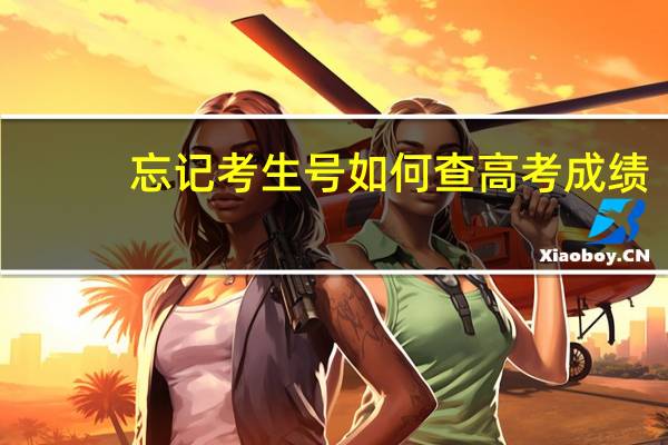 忘记考生号如何查高考成绩