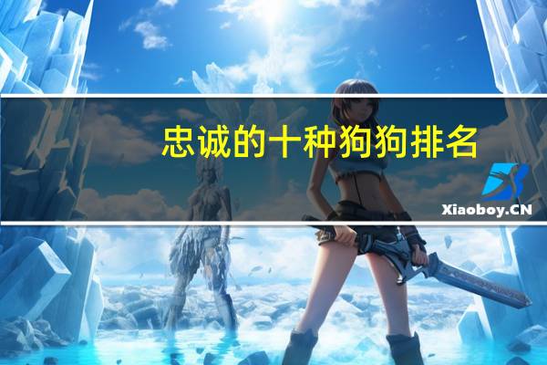忠诚的十种狗狗排名