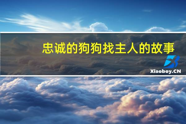 忠诚的狗狗找主人的故事
