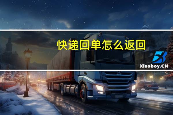 快递回单怎么返回
