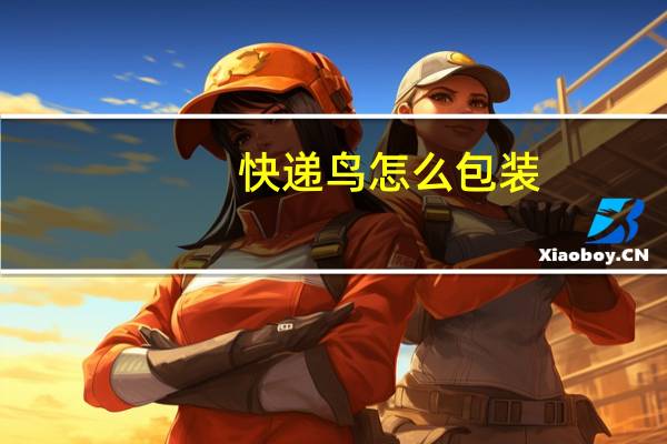 快递鸟怎么包装