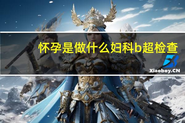 怀孕是做什么妇科b超检查