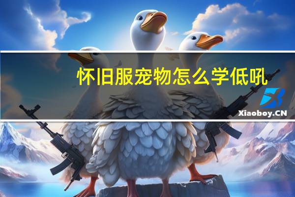 怀旧服宠物怎么学低吼