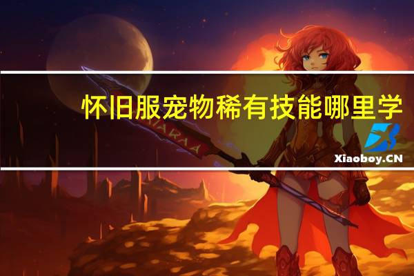怀旧服宠物稀有技能哪里学