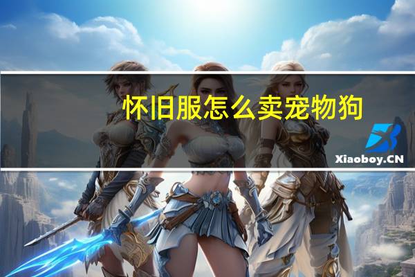 怀旧服怎么卖宠物狗