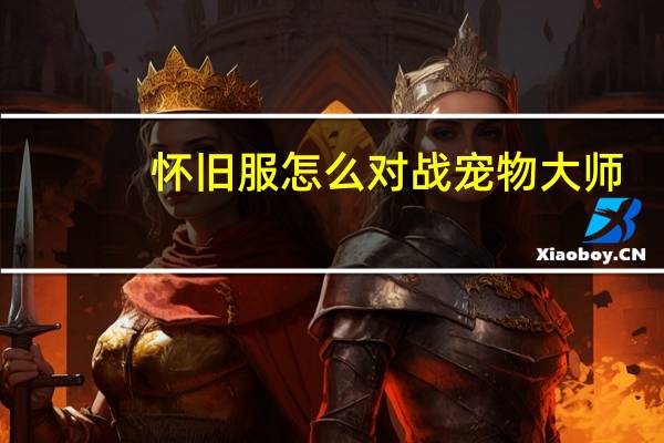 怀旧服怎么对战宠物大师