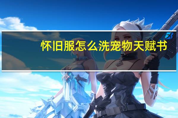 怀旧服怎么洗宠物天赋书