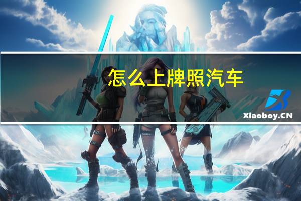怎么上牌照汽车