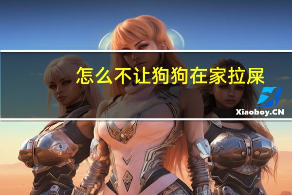 怎么不让狗狗在家拉屎
