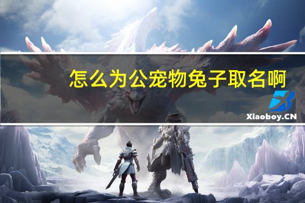怎么为公宠物兔子取名啊