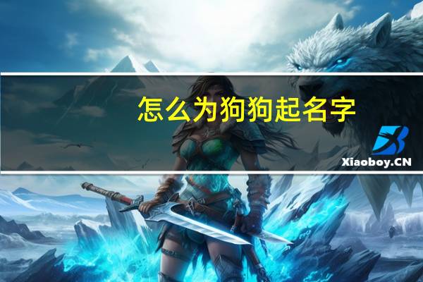 怎么为狗狗起名字