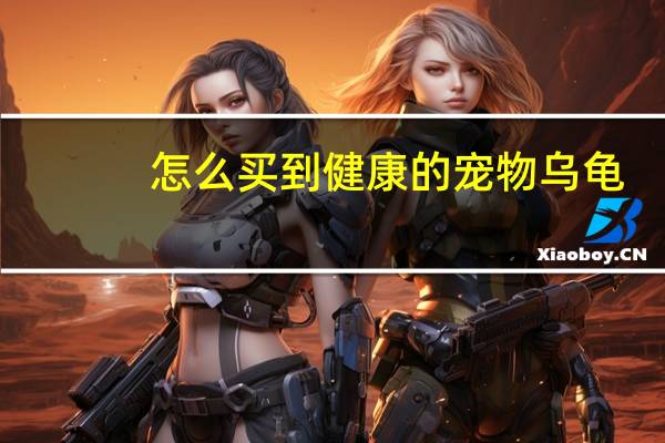 怎么买到健康的宠物乌龟