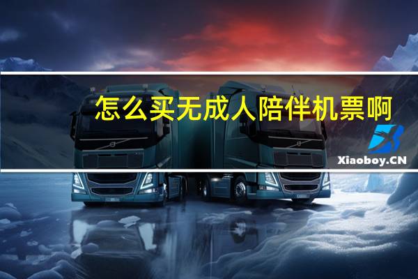 怎么买无成人陪伴机票啊