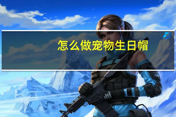 怎么做宠物生日帽