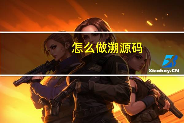 怎么做溯源码