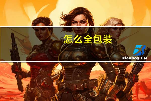 怎么全包装