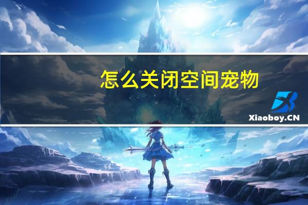 怎么关闭空间宠物