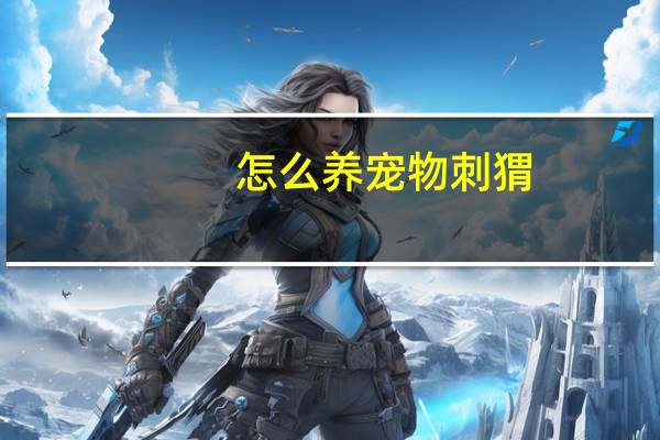 怎么养宠物刺猬