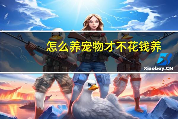 怎么养宠物才不花钱养