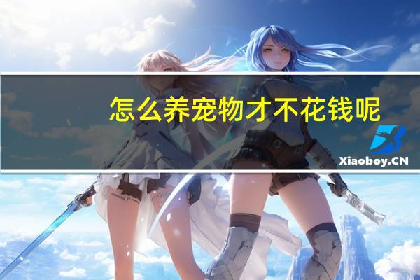 怎么养宠物才不花钱呢