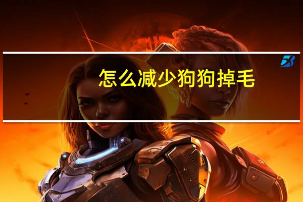 怎么减少狗狗掉毛