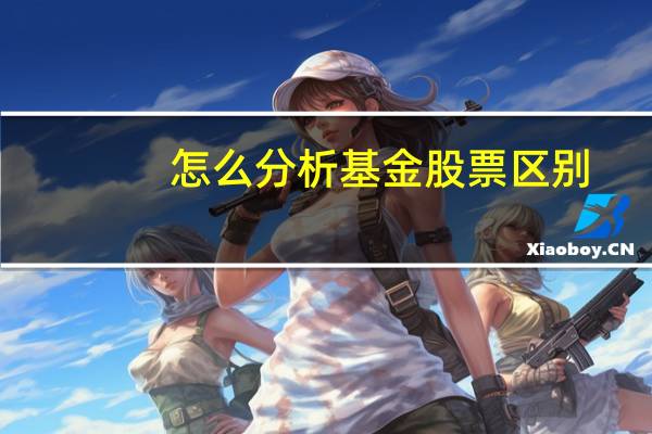 怎么分析基金股票区别