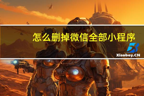 怎么删掉微信全部小程序