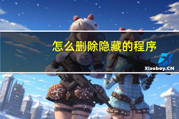 怎么删除隐藏的程序