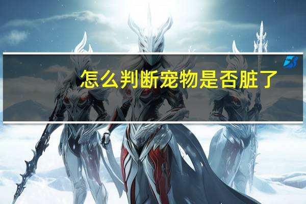 怎么判断宠物是否脏了