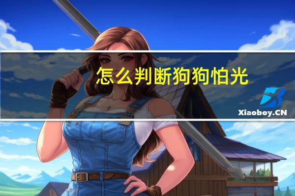 怎么判断狗狗怕光