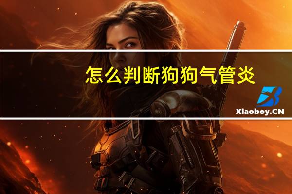 怎么判断狗狗气管炎