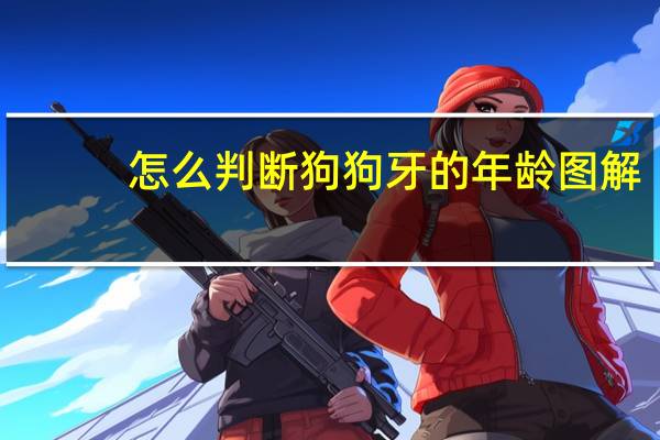 怎么判断狗狗牙的年龄图解