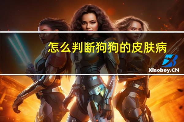 怎么判断狗狗的皮肤病